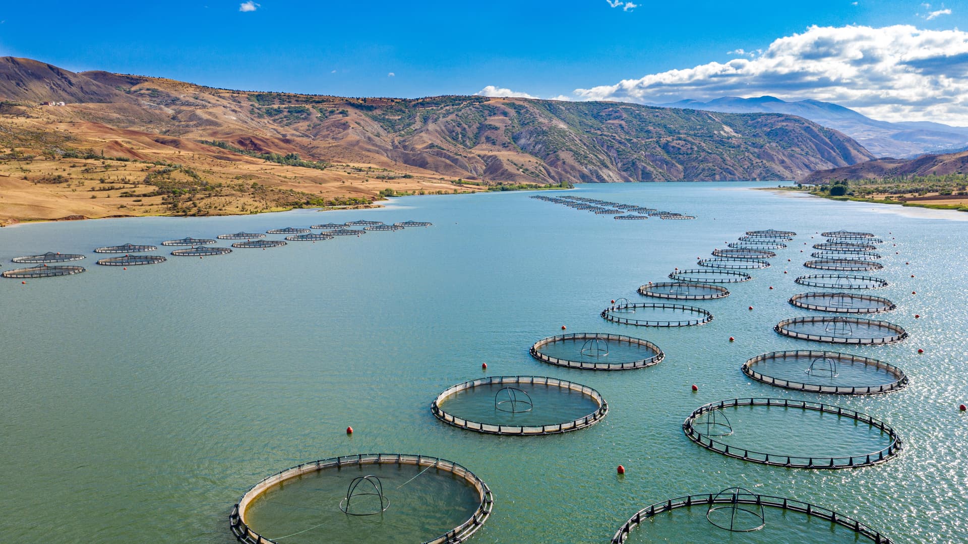 Aquaculture
